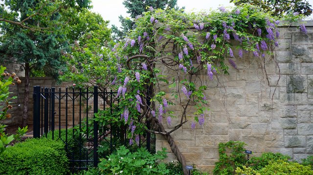 Kauffman Memorial Garden 3.jpg